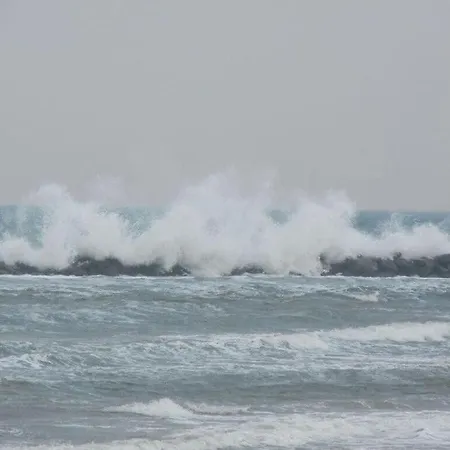 Ostseebad Comfortable * Damp