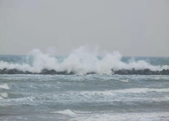 Ostseebad Comfortable * Damp